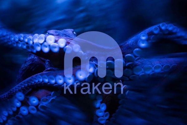 Kraken 13at магазин