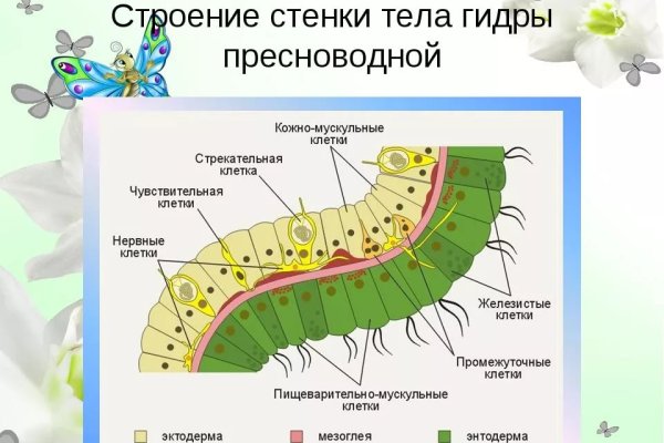 Рабочие ссылки и зеркала кракен