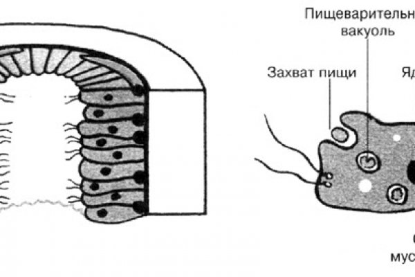 Сайт кракен что это такое